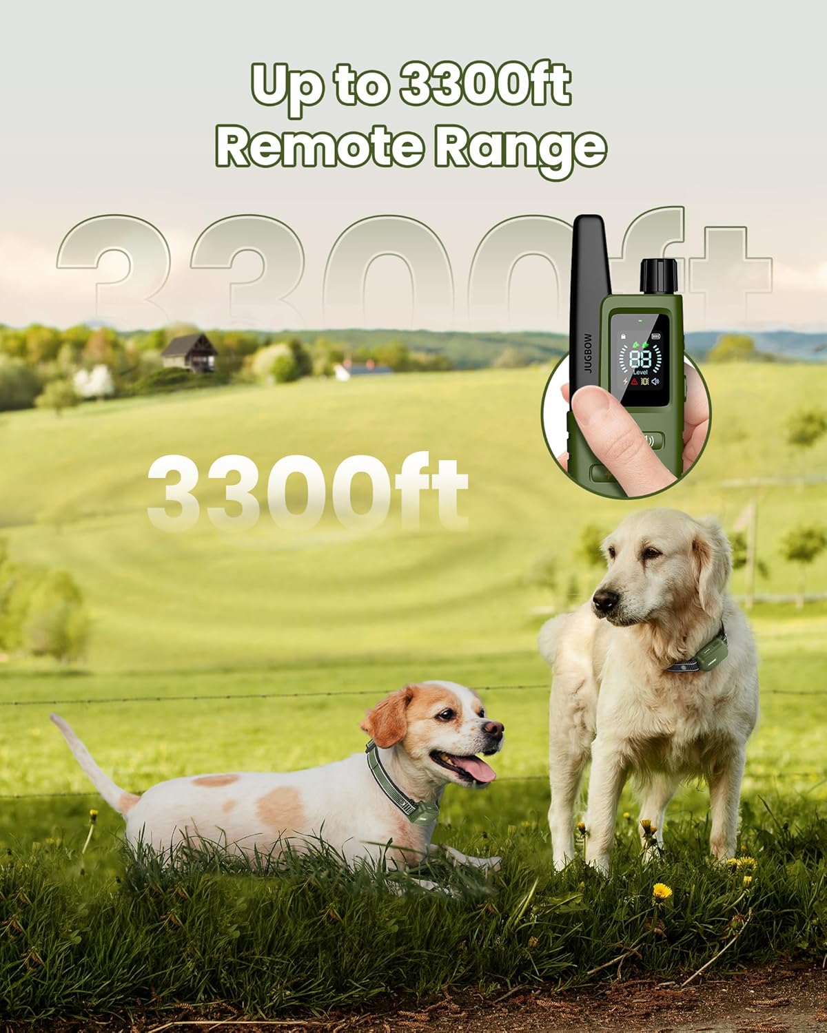 Dog Training Collar