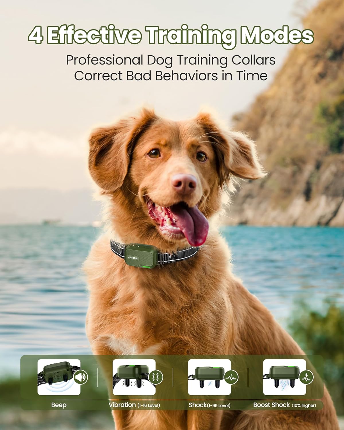 Dog Training Collar